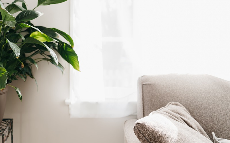 Light-filled living room